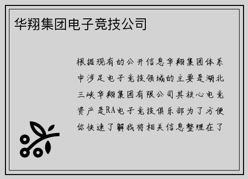 华翔集团电子竞技公司